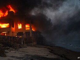"He Tried To Save Home": Los Angeles Woman After Brother Dies In Wildfire "He Tried To Save Home": Los Angeles Woman After Brother Dies In Wildfire
