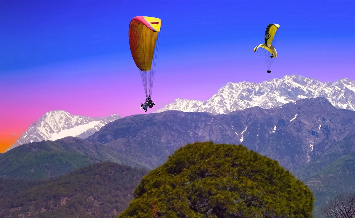 Photo: iStock Photo: iStock