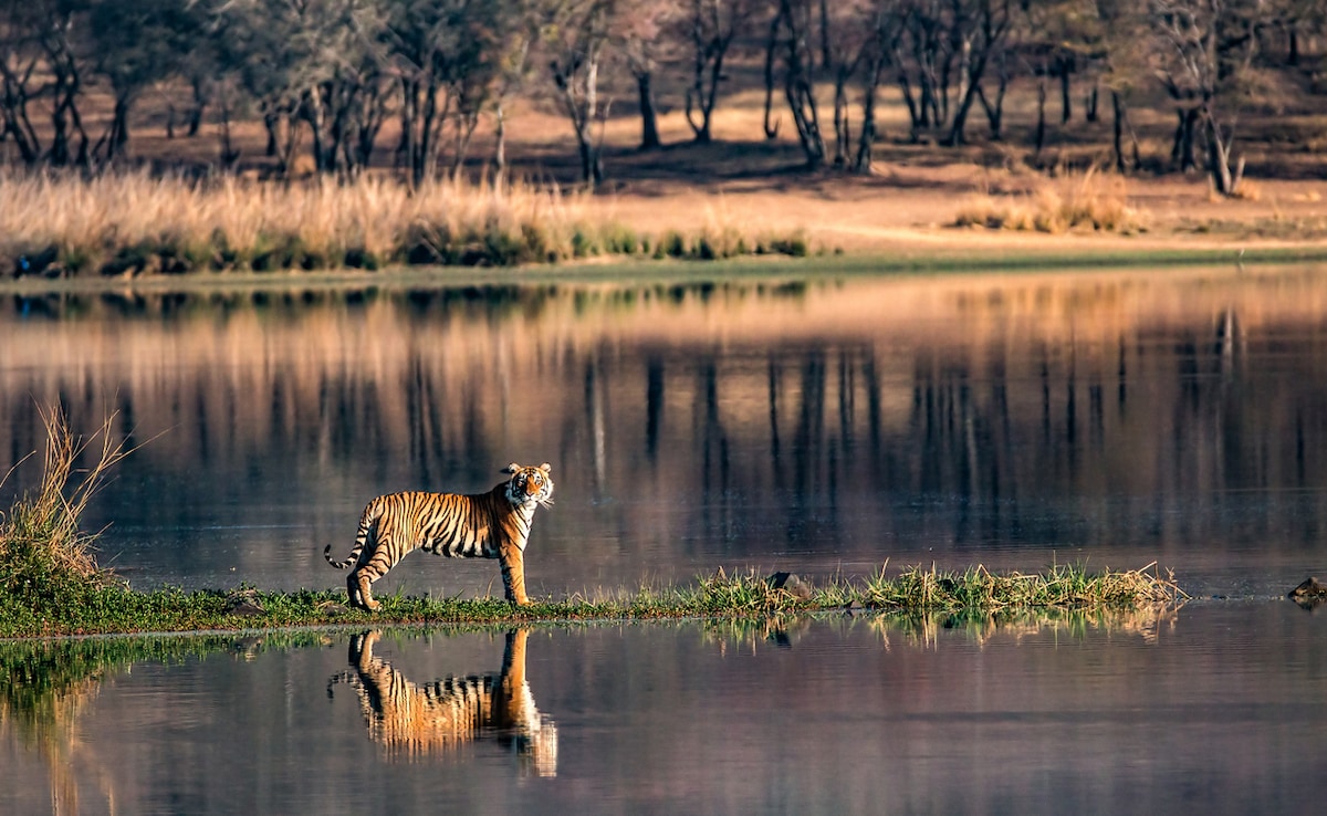 Photo: iStock Photo: iStock