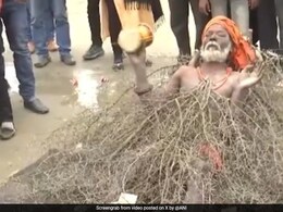<i>'Kaante Wale Baba'</i> Amazes Devotees At Maha Kumbh In Prayagraj