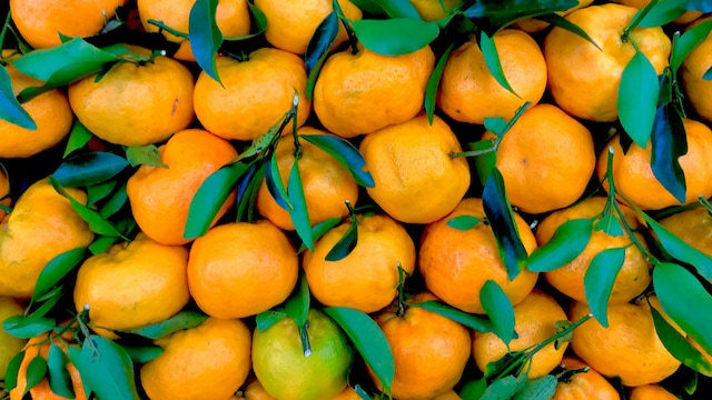 Studies suggest that citrus fruits like oranges can help reduce risk of several chronic diseases