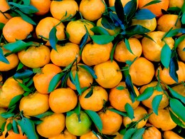 Here's How Oranges Can Help Improve Mood And Memory Here's How Oranges Can Help Improve Mood And Memory