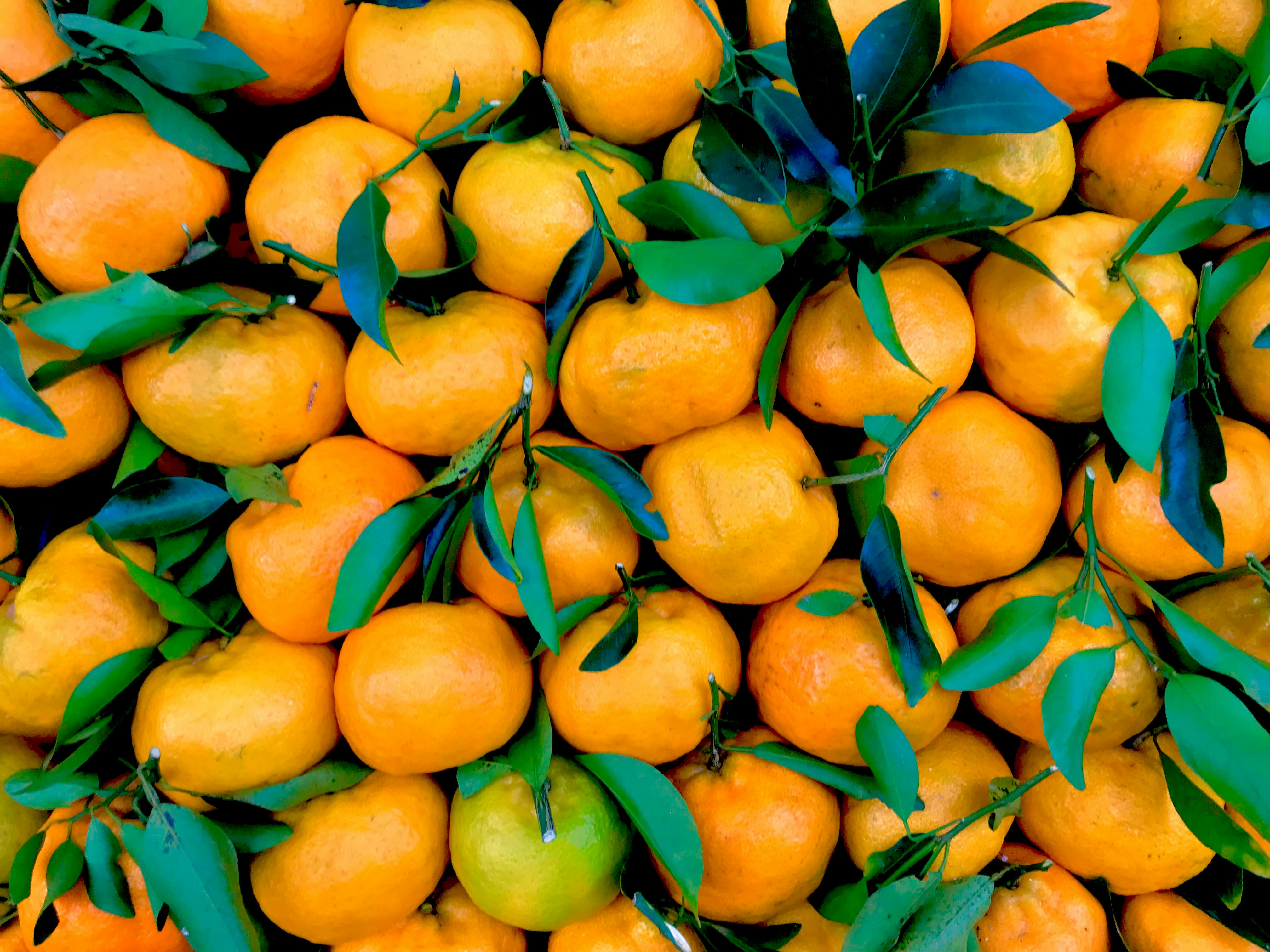 Studies suggest that citrus fruits like oranges can help reduce risk of several chronic diseases