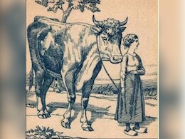 इस तस्वीर में दिख रही महिला अपने पति को खोज रही है, क्या फोटो में आप उसे ढूंढ सकते हैं? बहुत आसान है जवाब