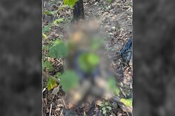 Maoist Carrying Rs 1 Crore Bounty Among 14 Killed In Chhattisgarh Encounter Maoist Carrying Rs 1 Crore Bounty Among 14 Killed In Chhattisgarh Encounter