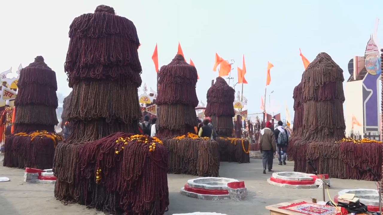 At Maha Kumbh, 12 Shivlings Made With Crores Of Rudraksh Gain Spotlight