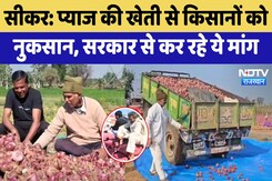 Sikar में प्याज की खेती से Farmers को क्यों हो रहा नुकसान, Sarkar से कर रहे ये मांग Sikar में प्याज की खेती से Farmers को क्यों हो रहा नुकसान, Sarkar से कर रहे ये मांग