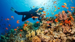 8 Best Scuba Diving Spots in India That Will Leave You Awestruck