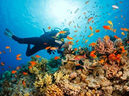 8 Best Scuba Diving Spots in India That Will Leave You Awestruck