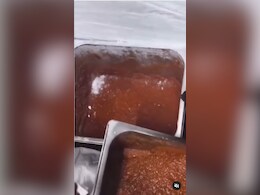 Watch: Jaipur Restaurant Exposed For Storing Meat With Vegetarian Food