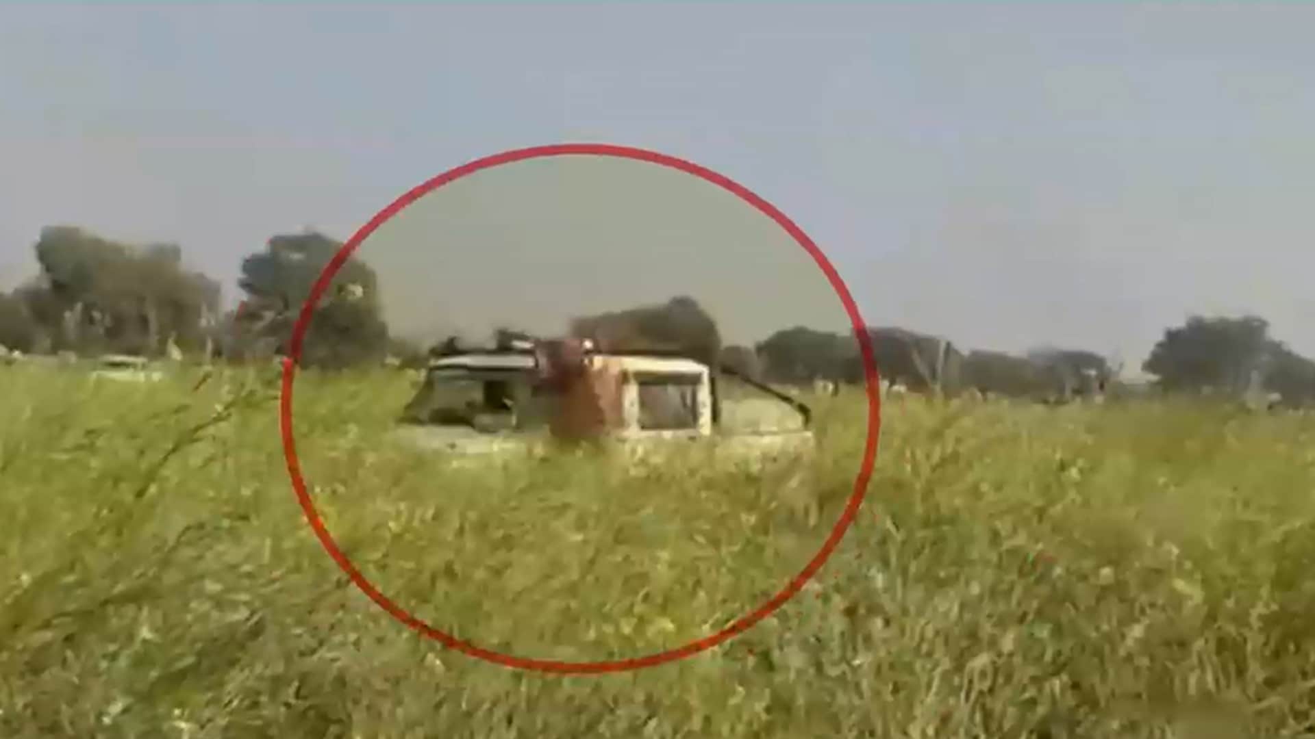 Video: Tiger Jumps On Rajasthan Forest Officials Car Who Came To Rescue It