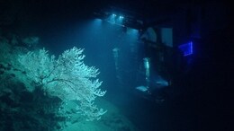 India To Get 1st Human Underwater Submersible For Ocean Exploration This Year