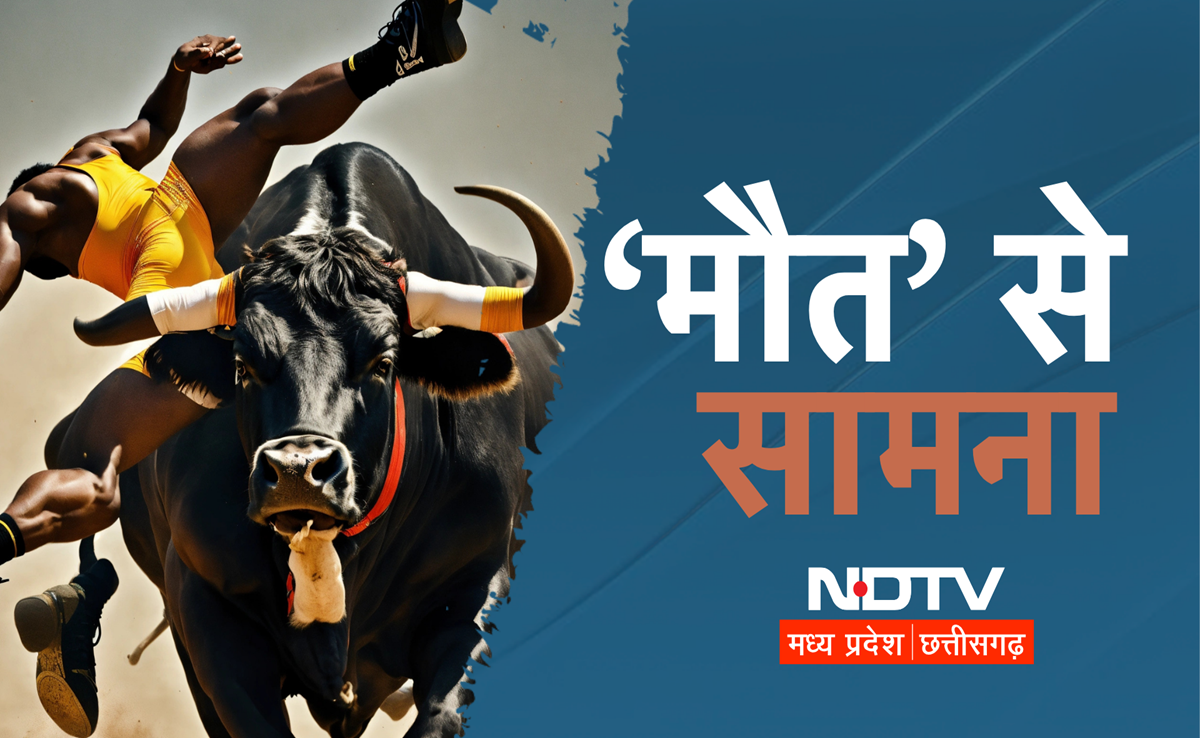 Bull Attack: सांड से भिड़ गया शराबी, मौके पर हो गई मौत, देखिए Viral Video