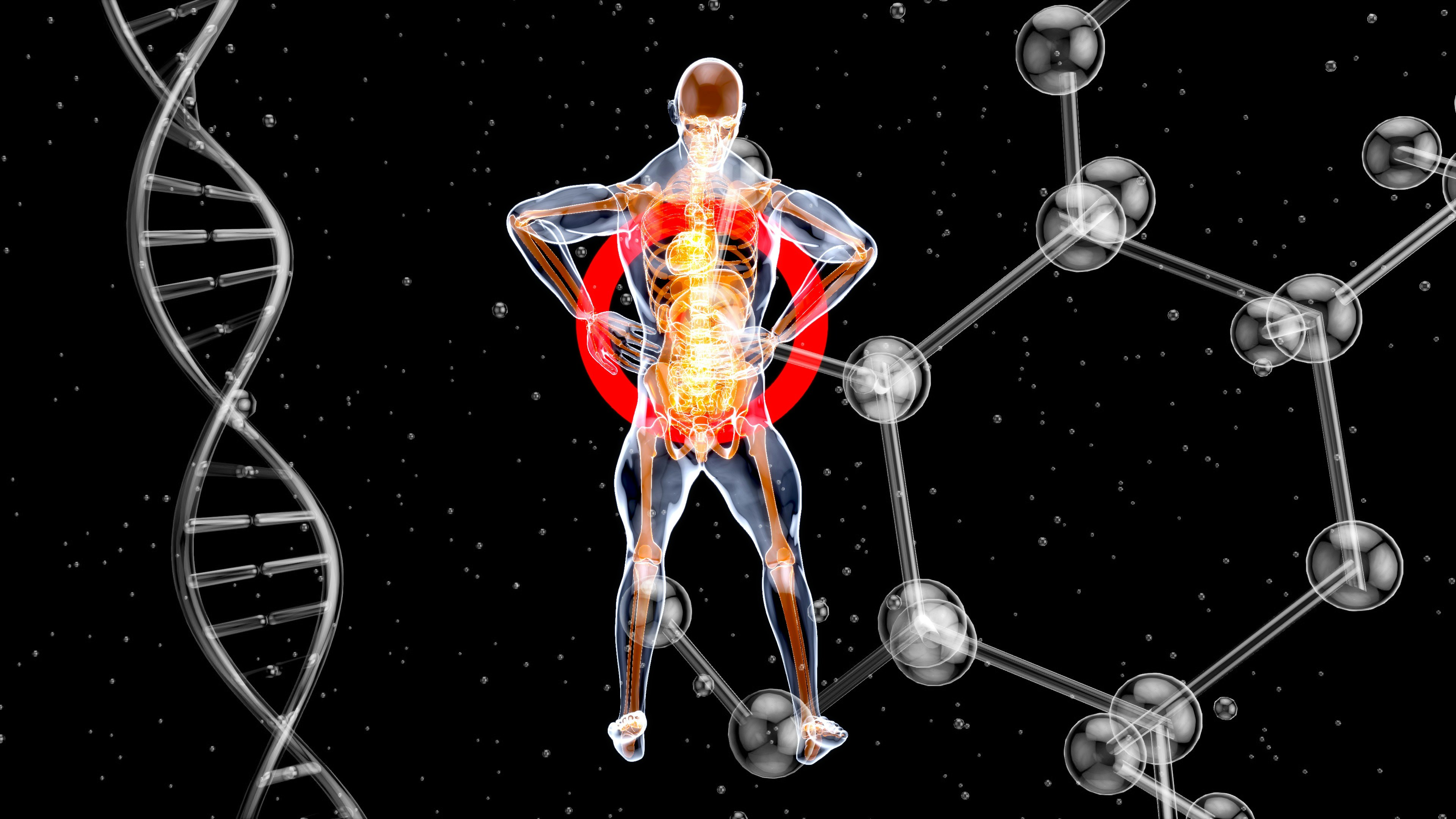 Could Ahcc Harm Your Kidneys? Expert Analysis - 8zraqxv