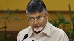 "No Shortage Of Fertiliser": Chandrababu Naidu To Farmers