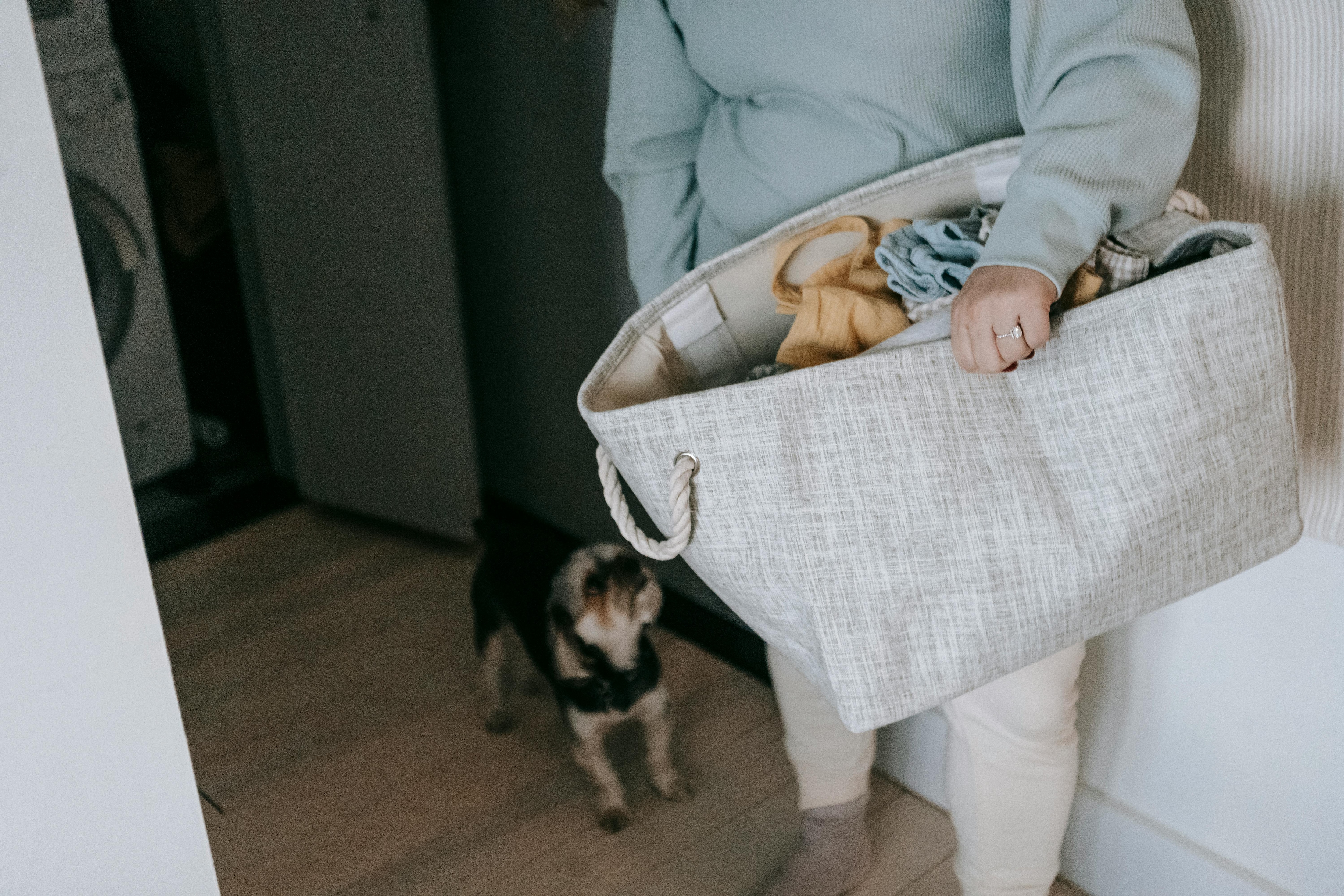 Why It Is Necessary To Keep Dirty Laundry Away From Fresh Pile