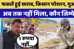 Rajasthan में फसलें हुई खराब, Farmer परेशान, Compensation अब तक नहीं मिला, कौन जिम्मेदार?