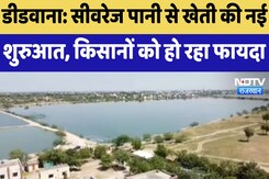 Didwana News : सीवरेज पानी से खेती की नई शुरुआत, किसानों को हो रहा फायदा Didwana News : सीवरेज पानी से खेती की नई शुरुआत, किसानों को हो रहा फायदा