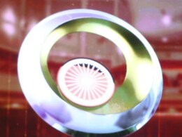 प्रधानमंत्री उत्कृष्टता अवार्ड 2024 के लिए ऑनलाइन आवेदन शुरू, जानें किसे मिलेगा पुरस्कार