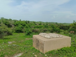 झीलों की नगरी उदयपुर को मिलेगा एक और टूरिस्ट स्पॉट, हिलटॉप पर फॉसिल पार्क खींचेगा सबका ध्यान झीलों की नगरी उदयपुर को मिलेगा एक और टूरिस्ट स्पॉट, हिलटॉप पर फॉसिल पार्क खींचेगा सबका ध्यान