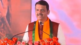 Guardian Ministers Appointed In Maharashtra: D Fadnavis Gets Gadchiroli