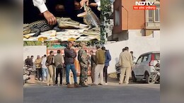 सागर में पूर्व MLA के बंगले पर चार&nbsp;मगरमच्छों का रेस्क्यू करने पहुंची टीम, अब कोर्ट के रुख का इंतजार