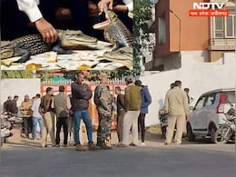 सागर में पूर्व MLA के बंगले पर चार मगरमच्छों का रेस्क्यू करने पहुंची टीम, अब कोर्ट के रुख का इंतजार सागर में पूर्व MLA के बंगले पर चार मगरमच्छों का रेस्क्यू करने पहुंची टीम, अब कोर्ट के रुख का इंतजार