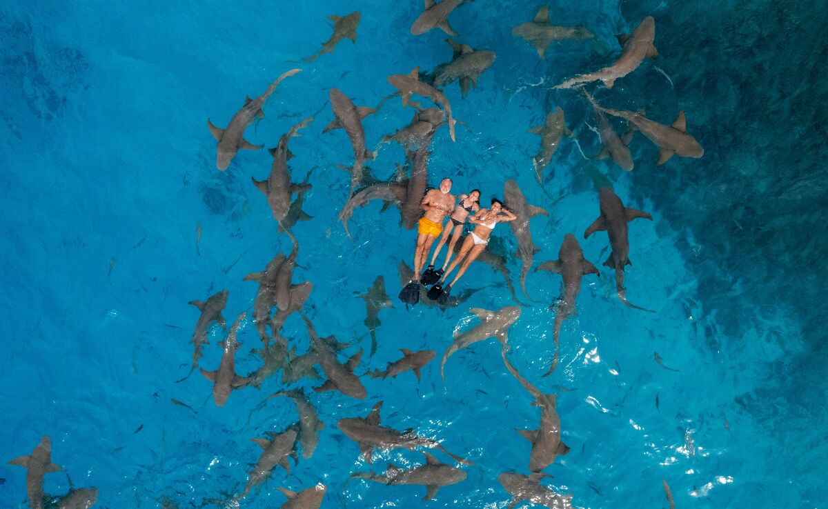 Photo: iStock Photo: iStock