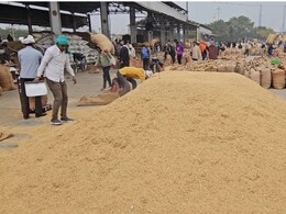 ईरान में फंसे राजस्थान-मध्य प्रदेश के किसानों के करोड़ो रुपये, जानें क्यों गिर रहे धान के दाम ईरान में फंसे राजस्थान-मध्य प्रदेश के किसानों के करोड़ो रुपये, जानें क्यों गिर रहे धान के दाम