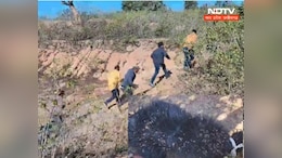 Chhattisgarh : शिकारियों के जाल में बुरी तरह फंसे दो भालू, एक ने तोड़ा दम, वन विभाग पर उठे सवाल