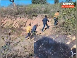 Chhattisgarh : शिकारियों के जाल में बुरी तरह फंसे दो भालू, एक ने तोड़ा दम, वन विभाग पर उठे सवाल
