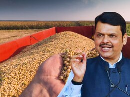 Soyabean News: सोयाबीन खरेदीत महाराष्ट्र अव्वल! गुजरातसह 5 राज्यांना मागे टाकलं; शेतकऱ्यांना पैसे कधी मिळणार?