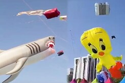 Sky Ablaze With Color: Ahmedabad Hosts Vibrant Four-Day Kite Festival Sky Ablaze With Color: Ahmedabad Hosts Vibrant Four-Day Kite Festival