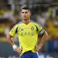 "Once-In-A-Lifetime Moment": FC Goa CEO On Match Against Cristiano Ronaldos Al-Nassr