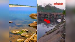 नाले में कैसे बदल गई स्वर्ण रेखा नदी ? बुरी हालत पर हाई कोर्ट ने नगर निगम की लगाई फटकार