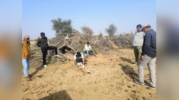 Jaisalmer Bird Flu: जैसलमेर में कुरजां और गिद्ध के बाद अब चिंकारा की मौत, बर्ड फ्लू के बाद क्या कोई दूसरी बीमारी भी फैल गई?