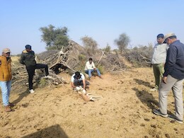 Jaisalmer Bird Flu: जैसलमेर में कुरजां और गिद्ध के बाद अब चिंकारा की मौत, बर्ड फ्लू के बाद क्या कोई दूसरी बीमारी भी फैल गई?