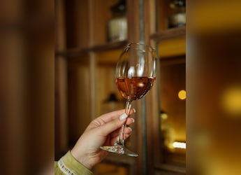 Homemade Ginger Wine: A Warm And Comforting Winter Delight Homemade Ginger Wine: A Warm And Comforting Winter Delight