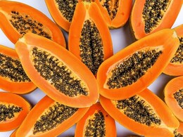 Papaya health benefits : रोजाना 1 बाउल पपीता खाने से सेहत को मिल सकते हैं 5 बड़े फायदे Papaya health benefits : रोजाना 1 बाउल पपीता खाने से सेहत को मिल सकते हैं 5 बड़े फायदे