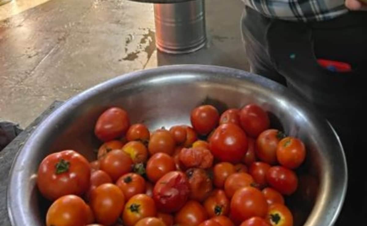 Latest and Breaking News on NDTV Latest and Breaking News on NDTV