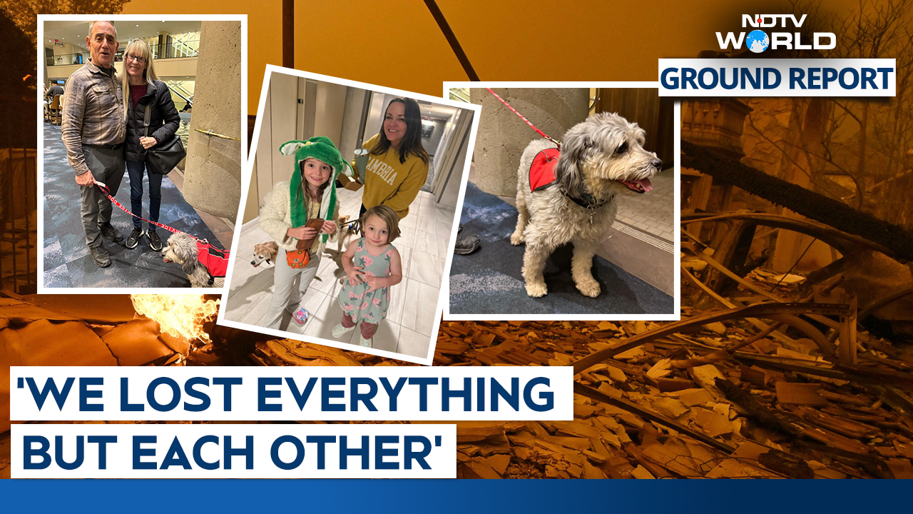 Heartbreak In Los Angeles: Families and Pets Displaced by Wildfires