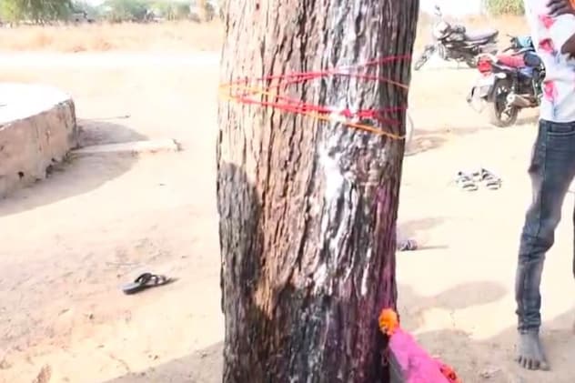 नीम के पेड़ से पानी न‍िकलने लगा. 