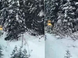जन्नत से होकर गुजरती ये ट्रेन, 1.5 लाख किराया, 4 हजार किमी का सफर, वायरल Video कर देगा हैरान   जन्नत से होकर गुजरती ये ट्रेन, 1.5 लाख किराया, 4 हजार किमी का सफर, वायरल Video कर देगा हैरान