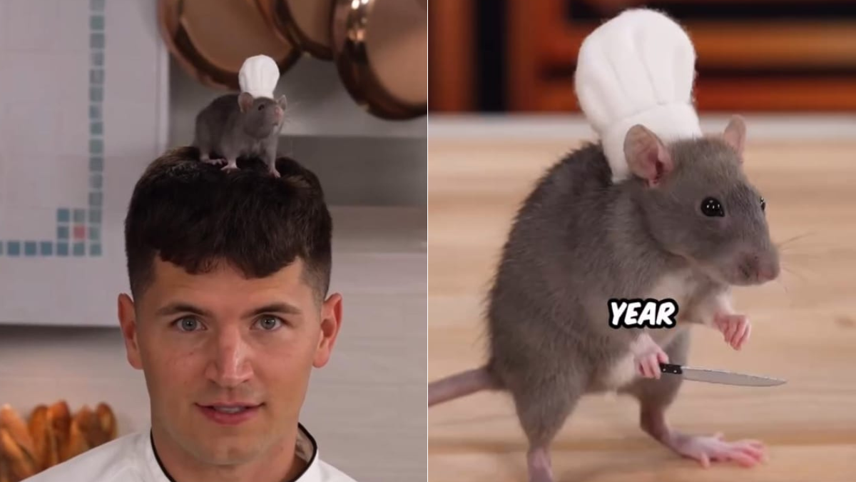 Watch: Popular Chef Trains Rat To 'Cook' Ratatouille, Internet Is Amazed