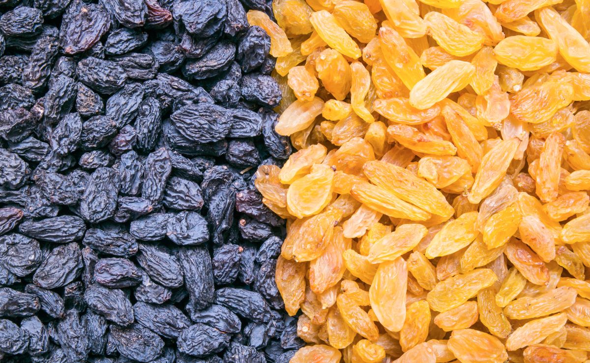 इन आसान टिप्स की मदद से झट से करें असली और नकली किशमिश की पहचान