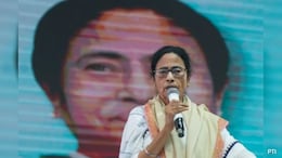"If You Find Money At Judge's Home...": Mamata Banerjee After Court Setback