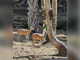 कमाल की हैं ये महिला, इशारे पर चलते हैं जंगली जानवर, करती हैं उनसे बातें कमाल की हैं ये महिला, इशारे पर चलते हैं जंगली जानवर, करती हैं उनसे बातें