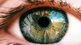 Pupil Size Indicates Which Memories We Relive In Dreams: Study