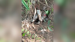 पहले दिन बड़ी कामयाबी:  बीजापुर के जंगल में नक्सलियों ने बिछा रखा था IED का जाल, जवानों ने खोज निकाला