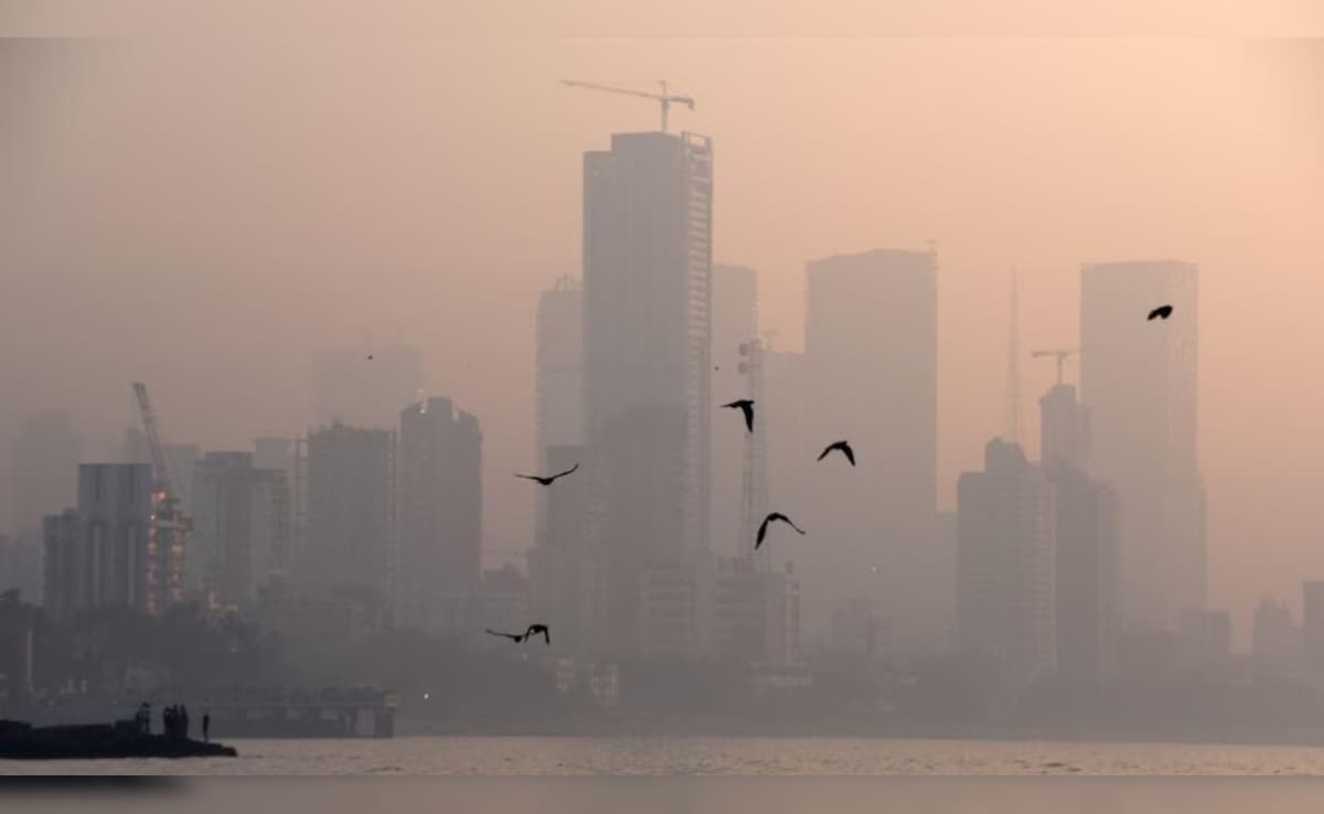 Latest and Breaking News on NDTV Latest and Breaking News on NDTV